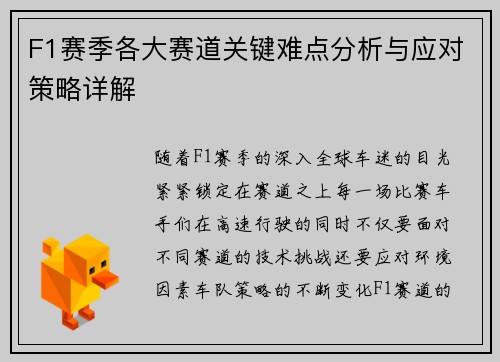 F1赛季各大赛道关键难点分析与应对策略详解