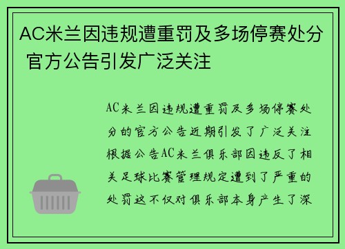 AC米兰因违规遭重罚及多场停赛处分 官方公告引发广泛关注