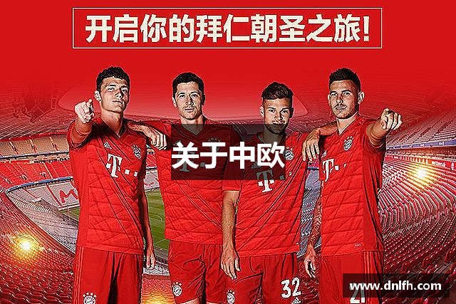 关于中欧